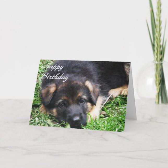 Schäferhund-Welpe - Geburtstagskarte Karte (Vorderseite)