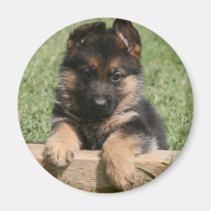 Schäferhund-Welpe Magnet