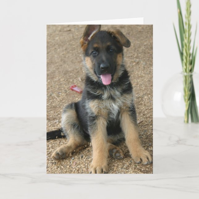 Schäferhund-Welpen-Gruß-Karte Karte (Vorderseite)