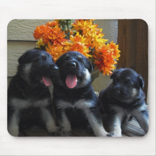 Schäferhund-Welpen Mousepad