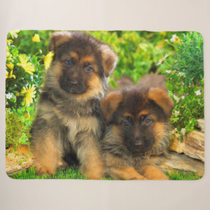 Schäferhund-Welpen Sherpadecke