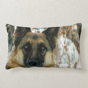 Schäferhund-Wurfs-Kissen Lendenkissen