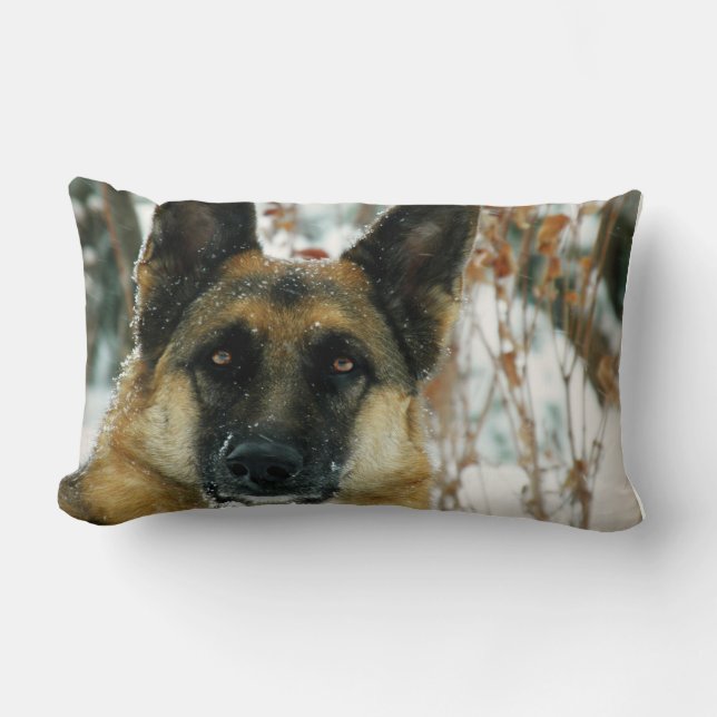 Schäferhund-Wurfs-Kissen Lendenkissen (Vorderseite)