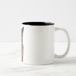 Schäferhund Zweifarbige Tasse