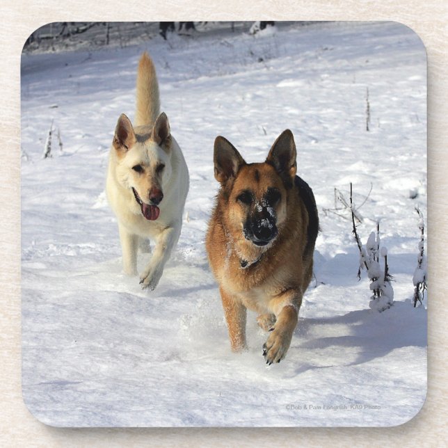 Schäferhunde, die in den Schnee laufen Getränkeuntersetzer (Vorderseite)