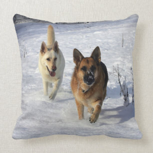 Schäferhunde, die in den Schnee laufen Kissen
