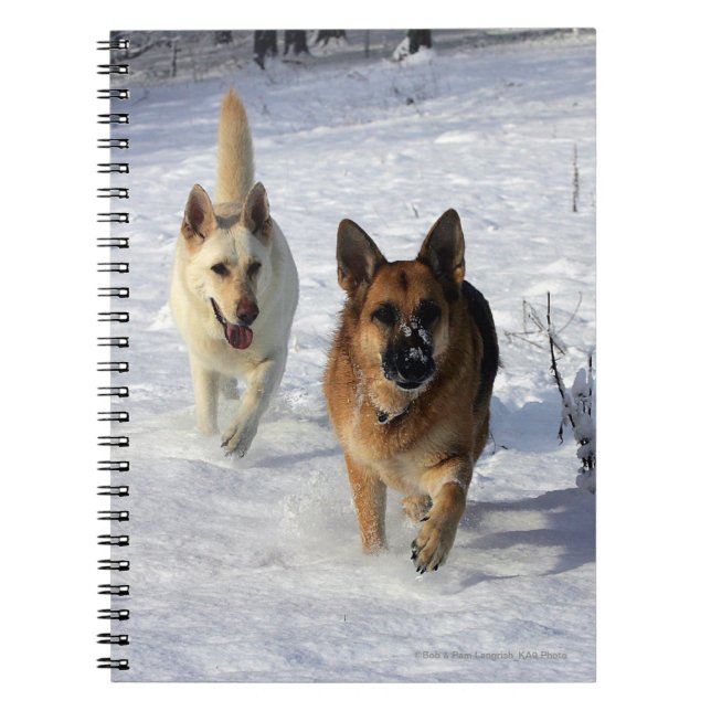 Schäferhunde, die in den Schnee laufen Notizblock (Vorderseite)