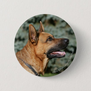 SchäferhundHeadshot 1 Button