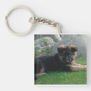 Schäferhundwelpe, der 2.png legt schlüsselanhänger