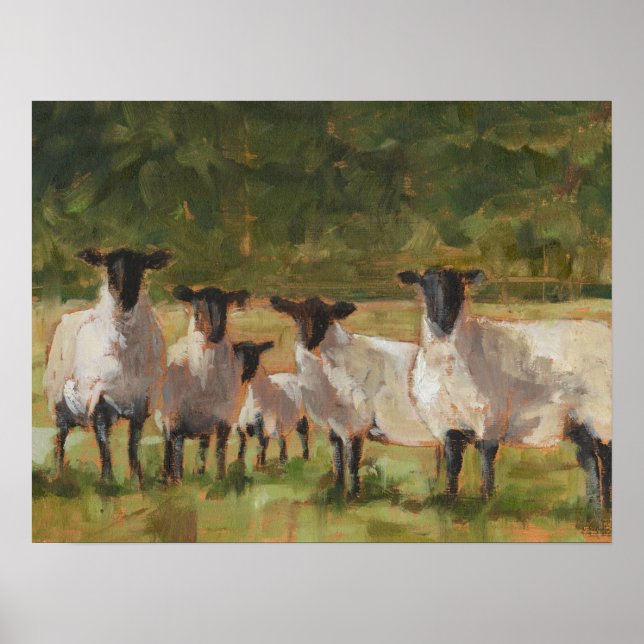 Schaffamilie Poster (Vorne)