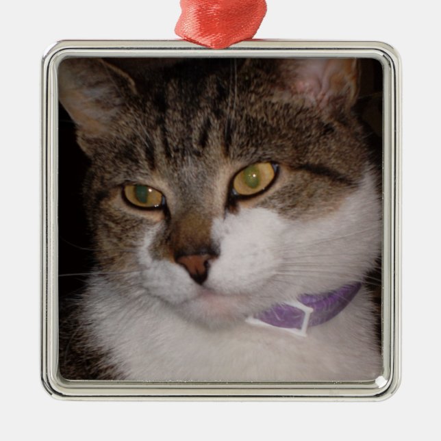 Schaffen Sie Ihre eigene Foto Silbernes Ornament (Vorne)