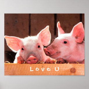 Schaffen Sie Ihre eigene lustige Foto-Liebe Sie Poster