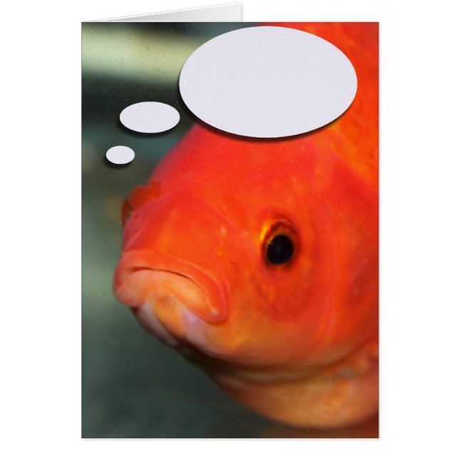 Schaffen Sie Ihren eigenen Titel, Goldfisch (Vorne)