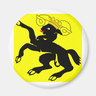 Schaffhausen, die Schweiz Magnet