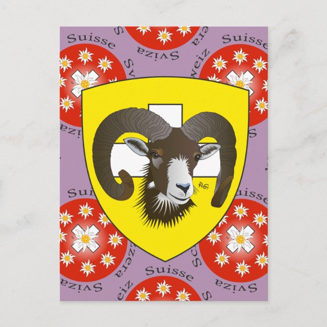Schaffhausen Schweiz Postkarte (Vorderseite)