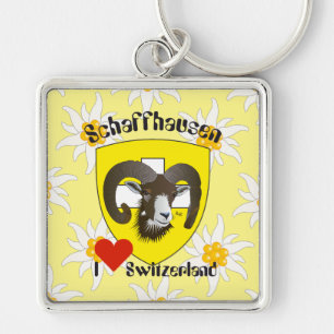 Schaffhausen Schweiz Schlüsselger Schlüsselanhänger