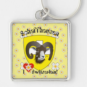 Schaffhausen Schweiz Schlüsselger Schlüsselanhänger