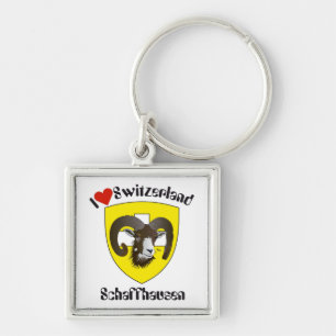 Schaffhausen Schweiz Schlüsselger Schlüsselanhänger