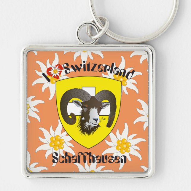 Schaffhausen Schweiz Schlüsselger Schlüsselanhänger (Vorne)