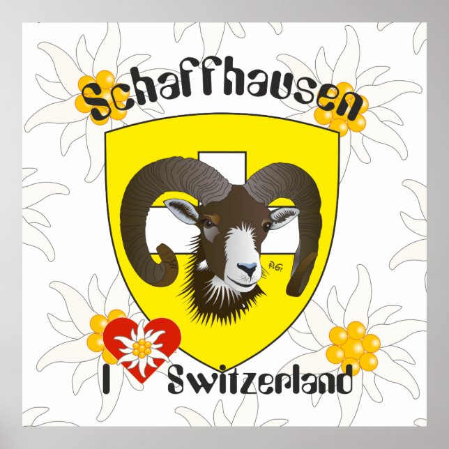 Schaffhausen - Schweiz - Suisse - Poster Svizzera (Devant)