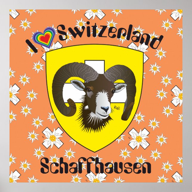 Schaffhausen - Schweiz - Suisse - Poster Svizzera (Devant)