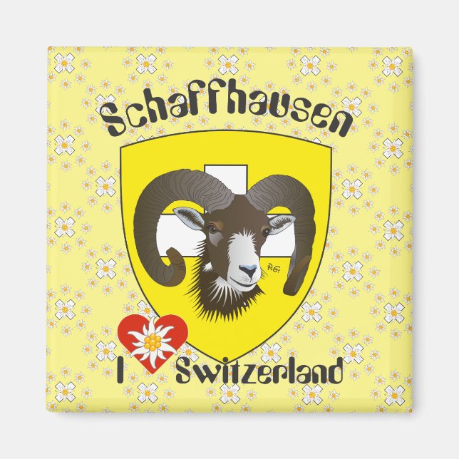 Schaffhausen - Schweiz - Suisse - Svizzera Magnet (Vorne)