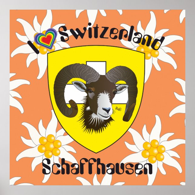 Schaffhausen - Schweiz - Suisse - Svizzera Poster (Vorne)