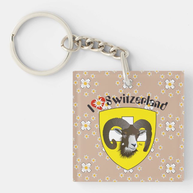 Schaffhausen - Schweiz - Suisse - Svizzera Schlüsselanhänger (Vorderseite)