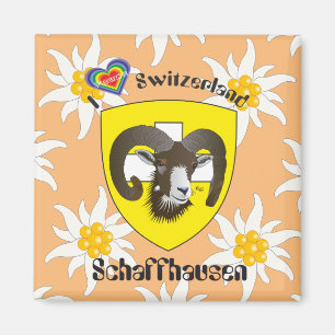 Schaffhouse - Suisse - Suisse - Svizzera Magnet