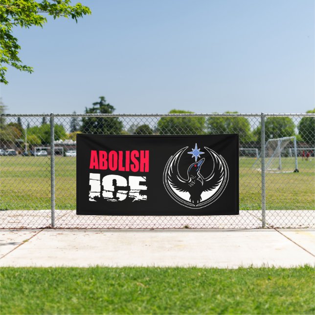 Schafft ICE ab Banner (Insitu)