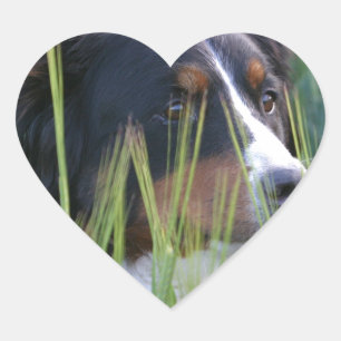 Schafhund im Gras Herz-Aufkleber