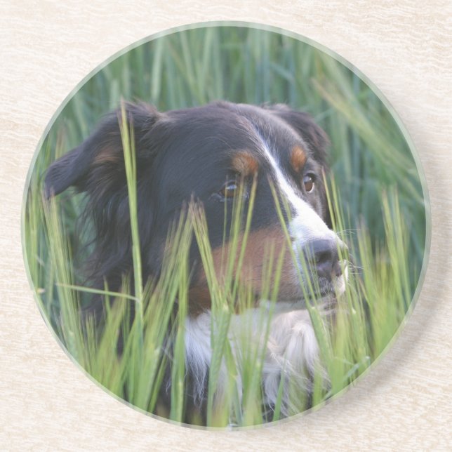 Schafhund im Gras Untersetzer (Vorne)