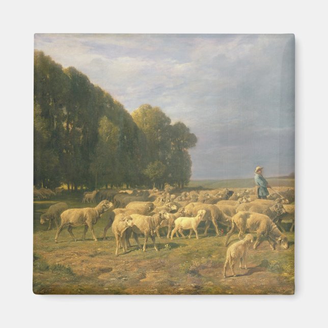 Schafschaf in einer Landschaft Magnet (Vorne)