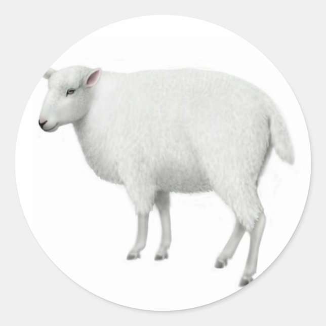 Schafsticker Runder Aufkleber (Vorderseite)