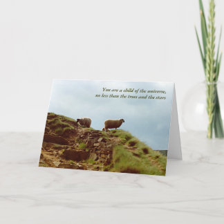 Schafweide auf einer Mountain UK Peaks Desiderata Karte