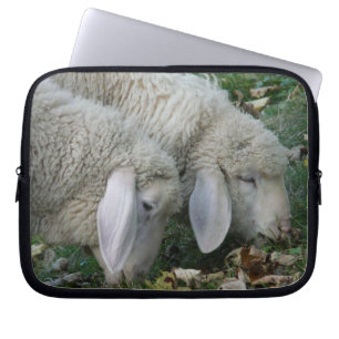 Schafweiden mit Lop-Ohr Laptopschutzhülle