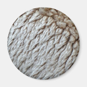 Schafwolle Abstrakte Natur Foto Magnet