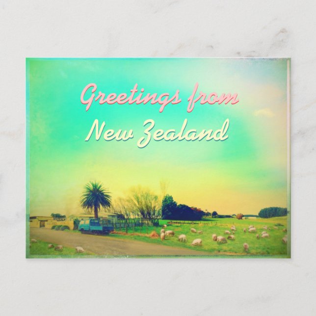 Schafzuchtbetriebe in Neuseeland Postkarte (Vorderseite)