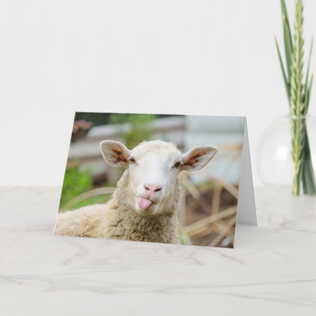 Schafzunge Feiertagskarte (Vorderseite)