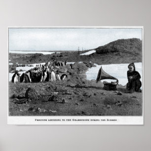 Schakkleton in antarktischem Gramophon mit Pinguin Poster