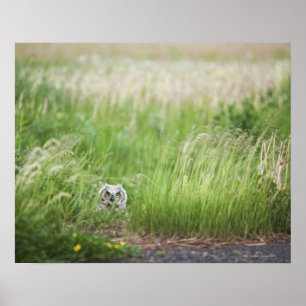 Schale im Gras Poster