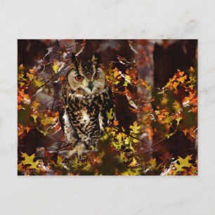 Schale im Herbst Postkarte