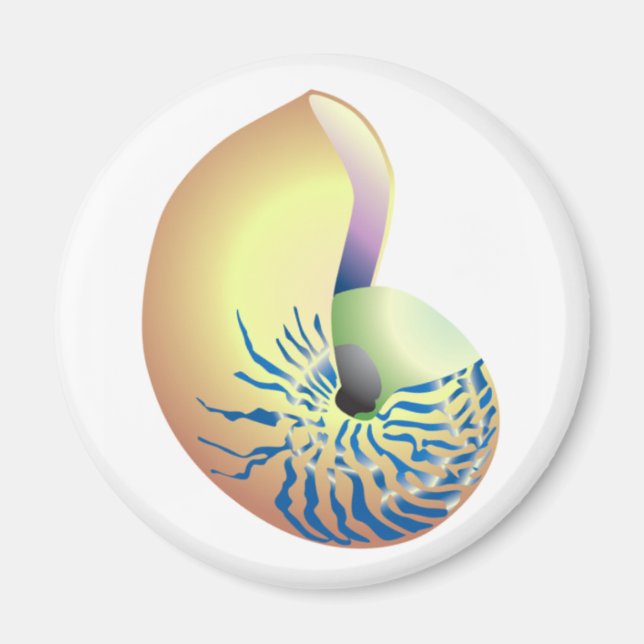 SCHALE MAGNET (Vorne)