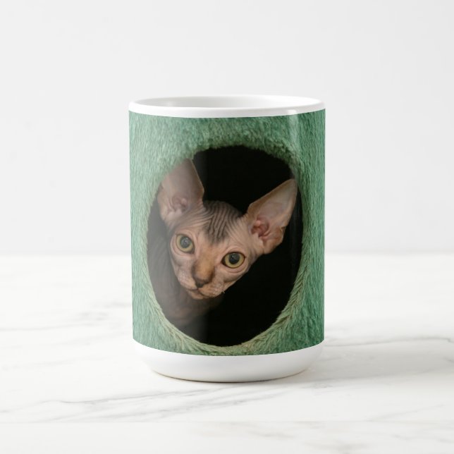 Schale mit einem niedlichen sphynx Kätzchen Kaffeetasse (Mittel)