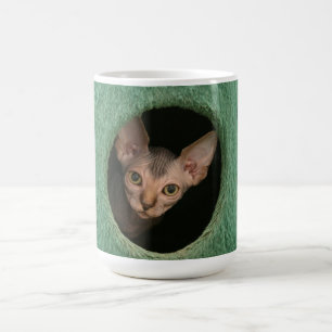 Schale mit einem niedlichen sphynx Kätzchen Kaffeetasse