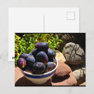 Schale mit Feigenfrüchten auf Stein Postkarte
