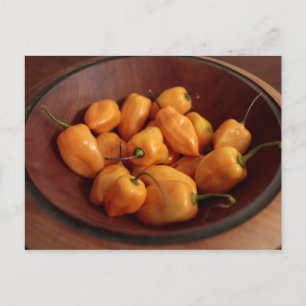 Schale mit Habanero-Schoten, Traditionelle Nahrung Postkarte