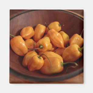Schale mit Habanero-Schoten, Traditionelles Essen Magnet