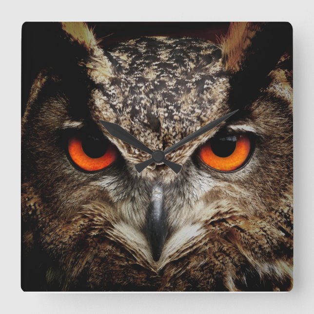 Schale mit orangefarbenen Augen, farbige Acrylmaue Quadratische Wanduhr (Vorderseite)