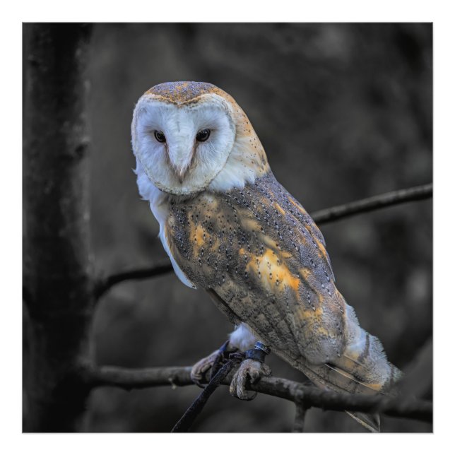 Schale: Selektive Farbfotografie Fotodruck (Vorne)